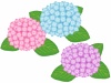 紫陽花の花模様壁紙画像シンプル背景素材イラスト