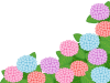 紫陽花の花模様壁紙画像シンプル背景素材イラスト透過png　