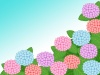 紫陽花の花模様壁紙画像シンプル背景素材イラスト