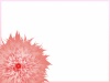 ワンポイントの花フレーム【JPEG】_02