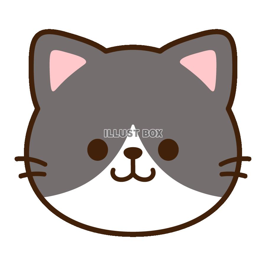 白黒猫　顔