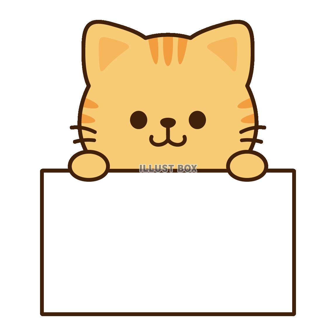 ホワイトボードをもつ茶トラ猫