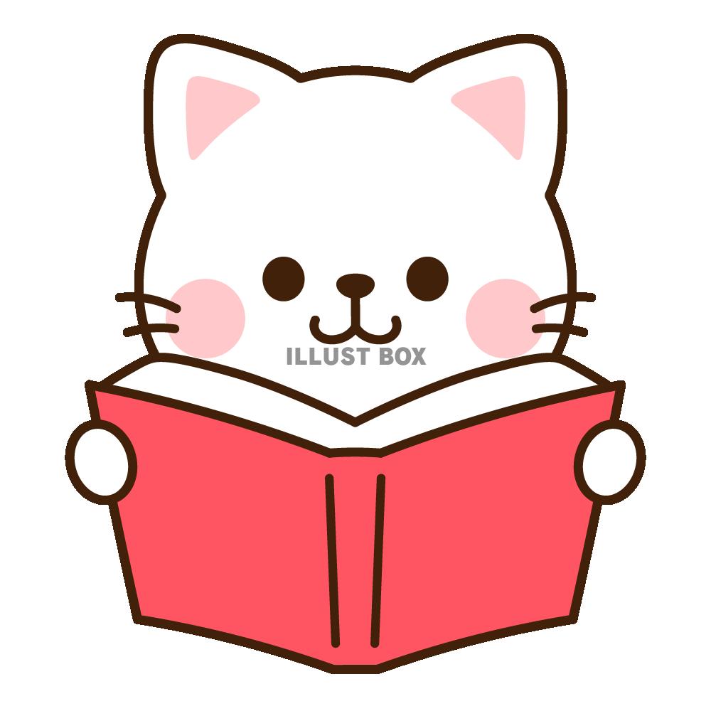 本を読む白猫
