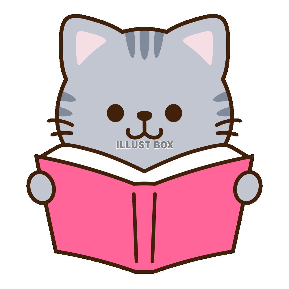 本を読むサバトラ猫
