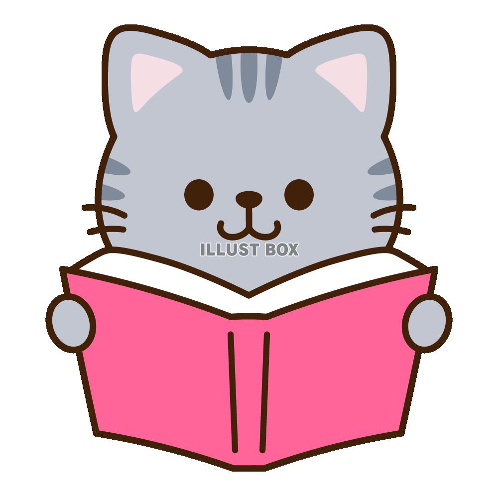 本を読むサバトラ猫