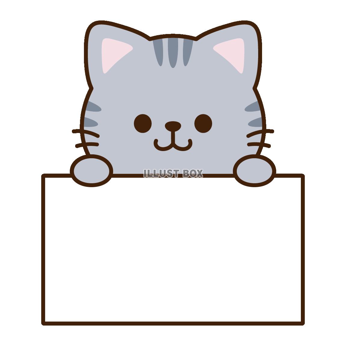 ホワイトボードをもつサバトラ猫