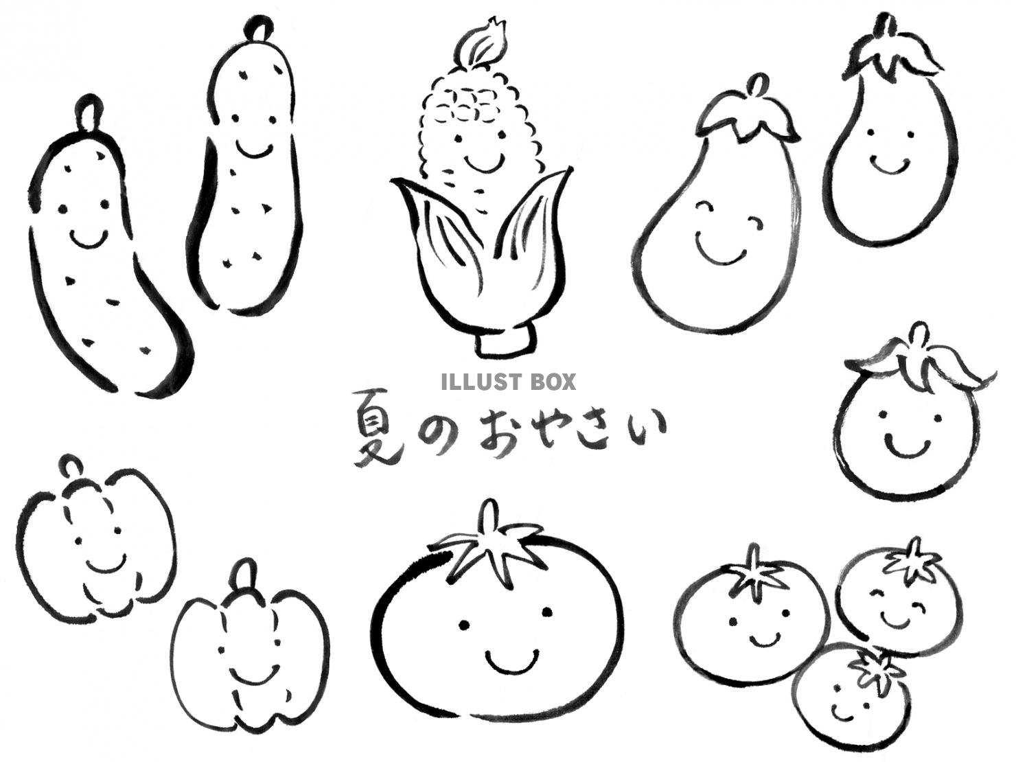 筆絵の夏の野菜セット１