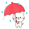 傘をさす白猫　雨