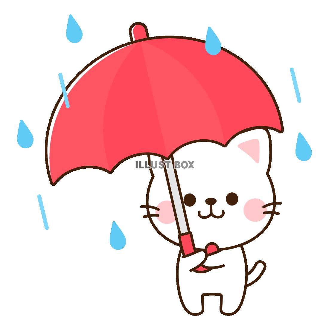 傘をさす白猫　雨