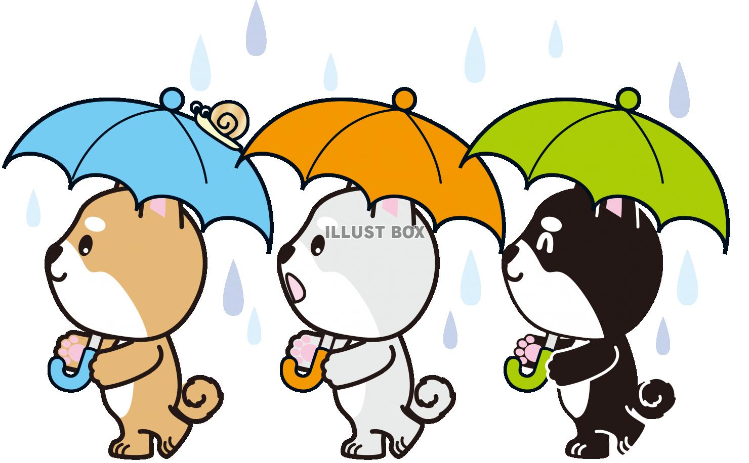 しばちゃんず雨雨降れ降れ（透過PNG）