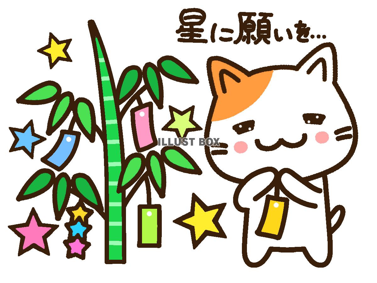 七夕の笹と三毛猫　透過png