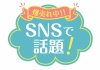 お店で使える♪★POP★SNSで話題★パステルブルー