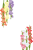 グラジオラスフレーム２（透過PNG・縦横自由）
