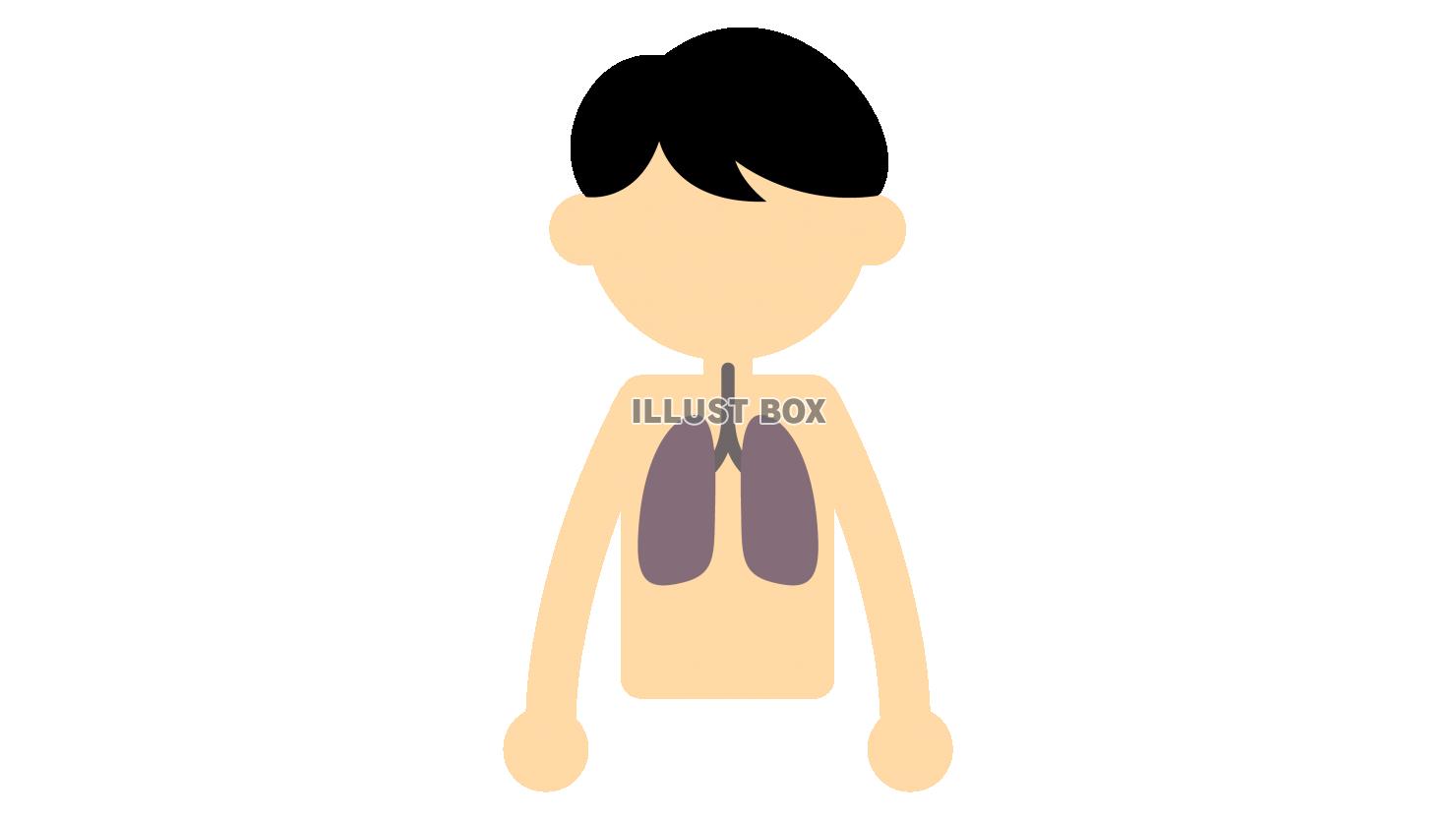 男性の上半身　不健康な黒い肺　タバコ喫煙