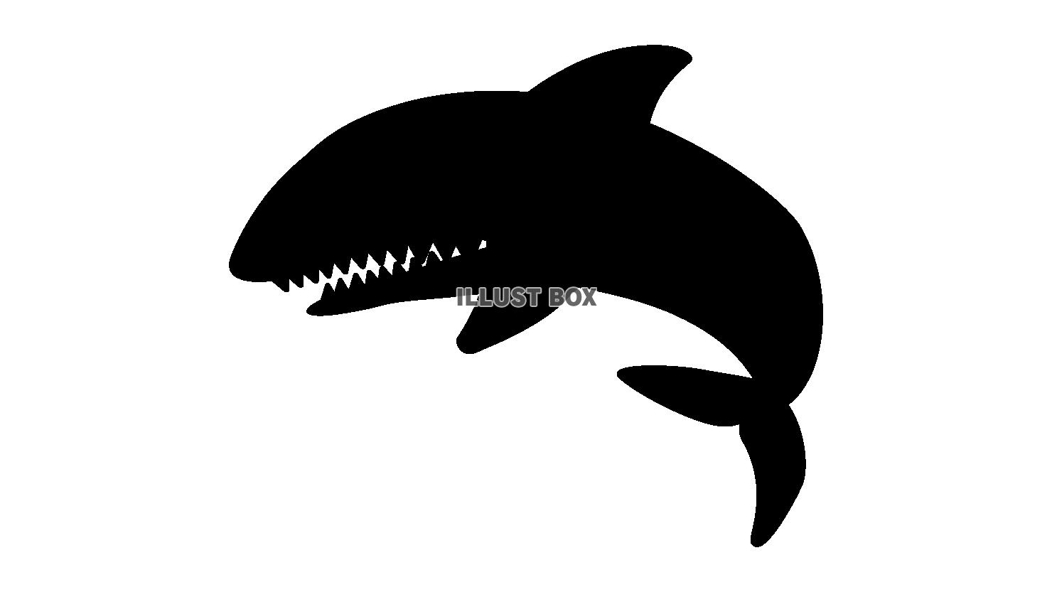 海の生き物　サメ　モノクロシルエット