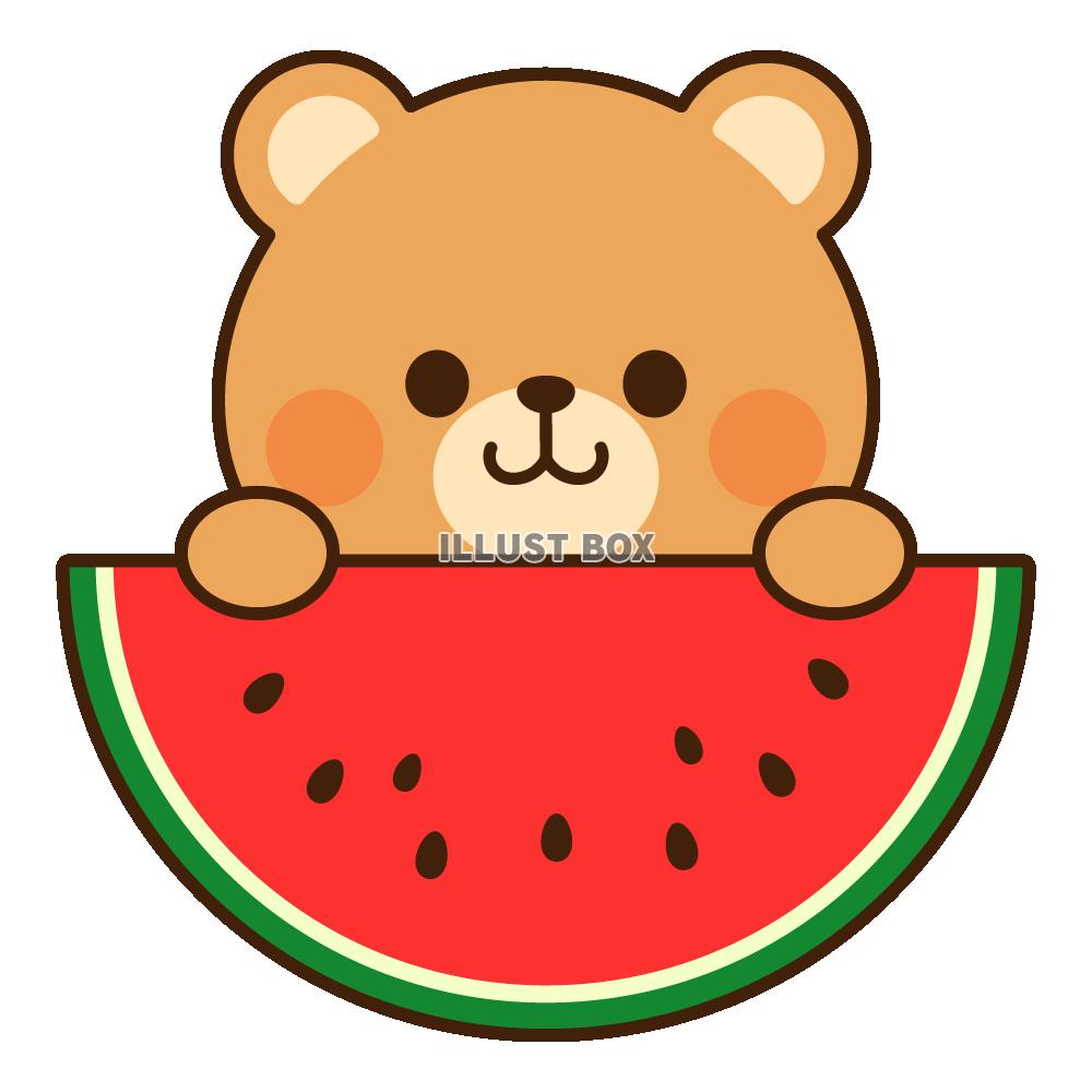 クマとスイカ