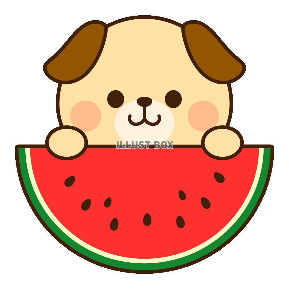 犬とスイカ