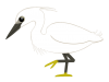 コサギ（日本の野鳥）　透過PNG