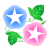 きれいなアサガオ２つ　透過png
