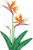 極楽鳥花（透過PNG）