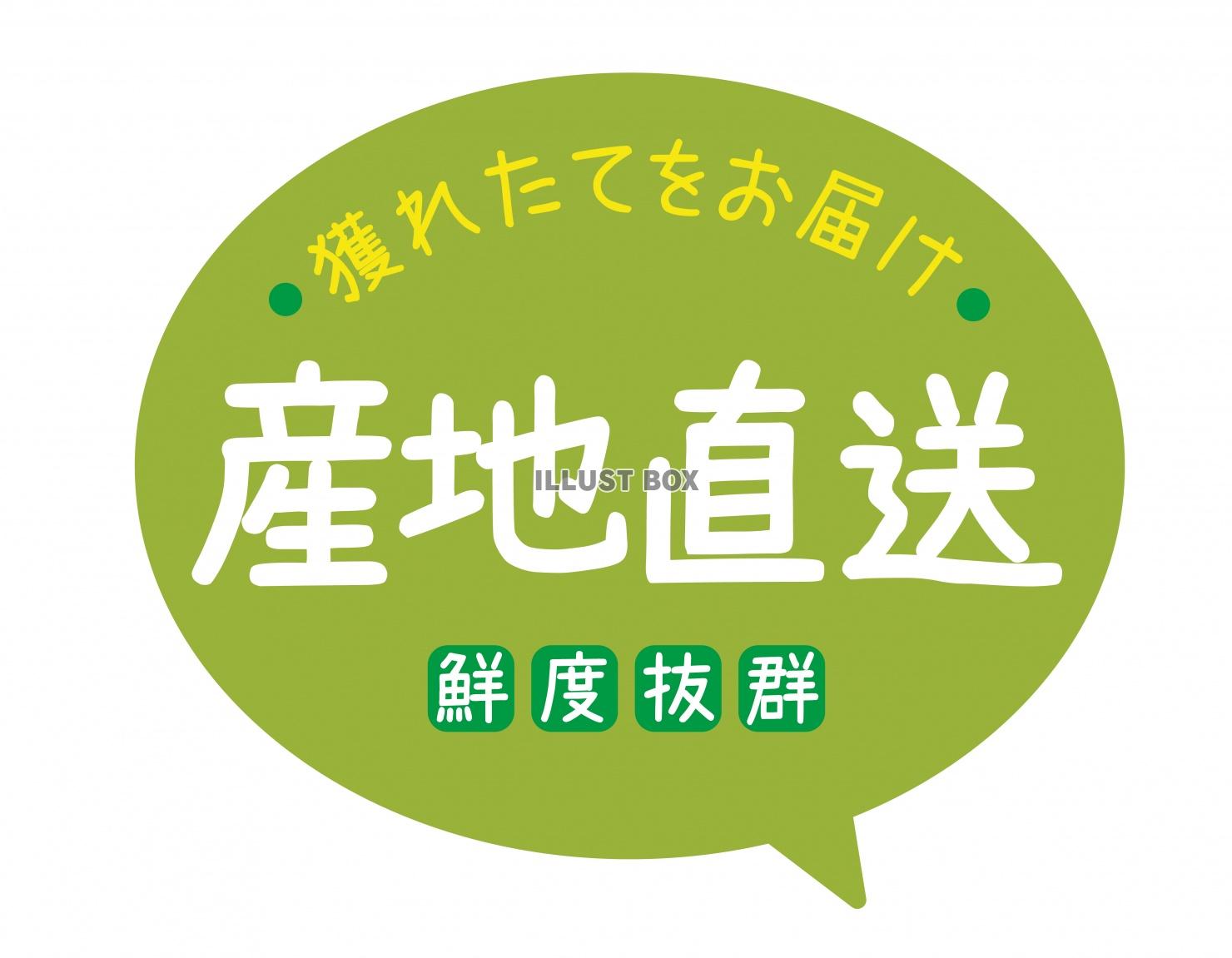 お店で使える♪ 店頭POPシリーズ★産地直送★獲れたてをお届...