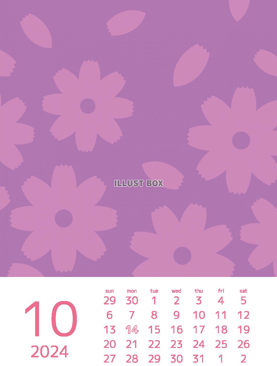 2024年グラフィックカレンダー 10月　コスモスの花