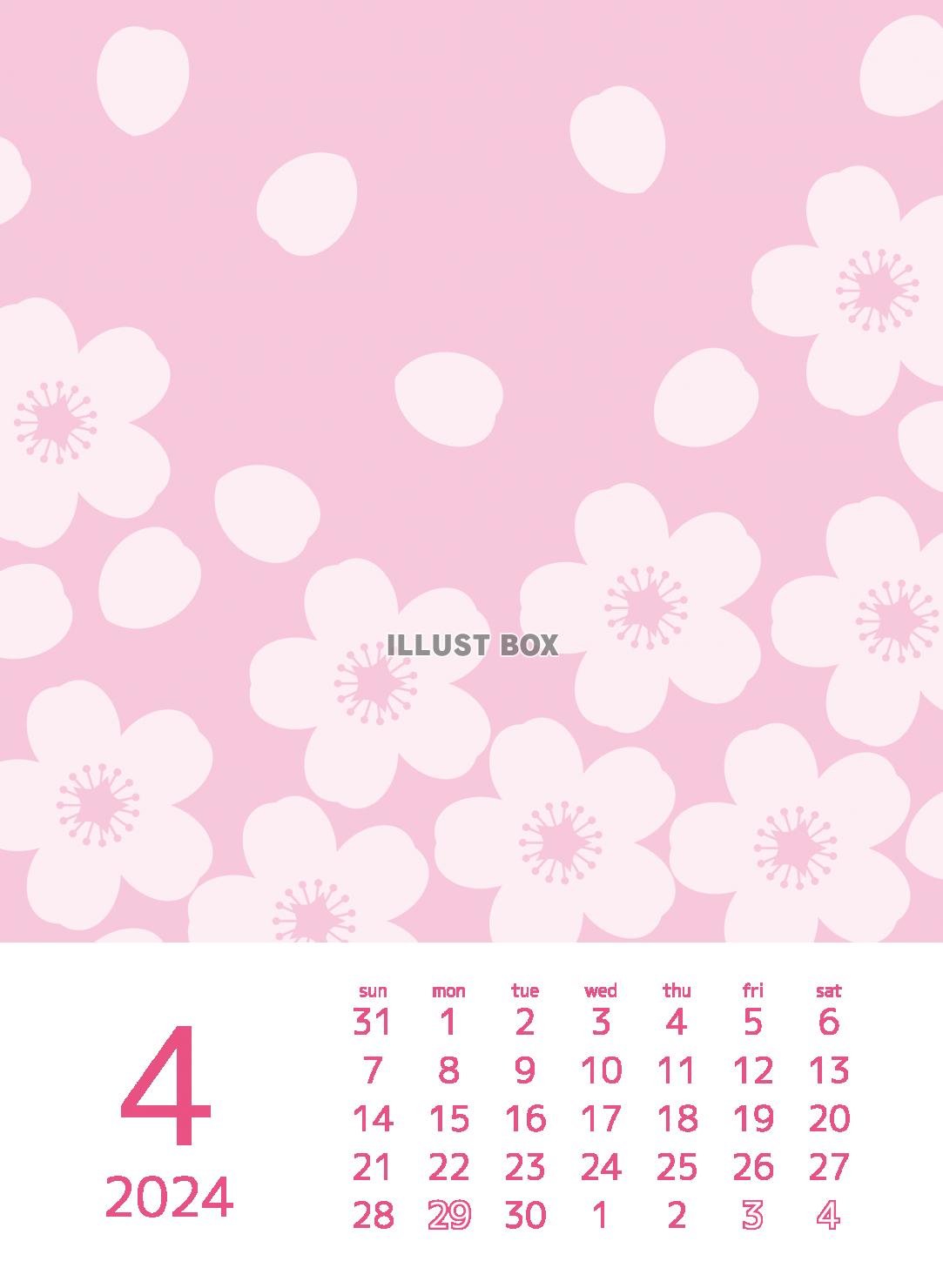 2024年グラフィックカレンダー 4月　桜の花
