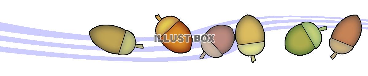 団栗のライン素材シンプル飾り罫線イラストpng透過