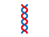 DNA