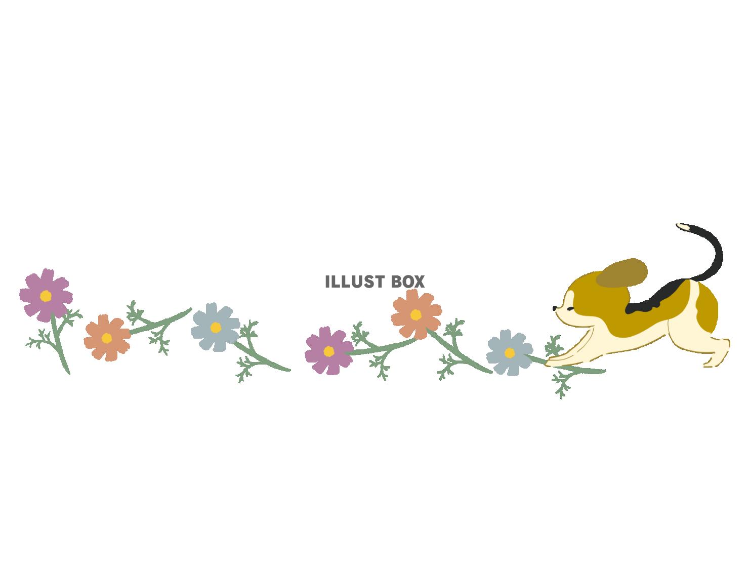 コスモスの花とビーグル犬のラインイラスト