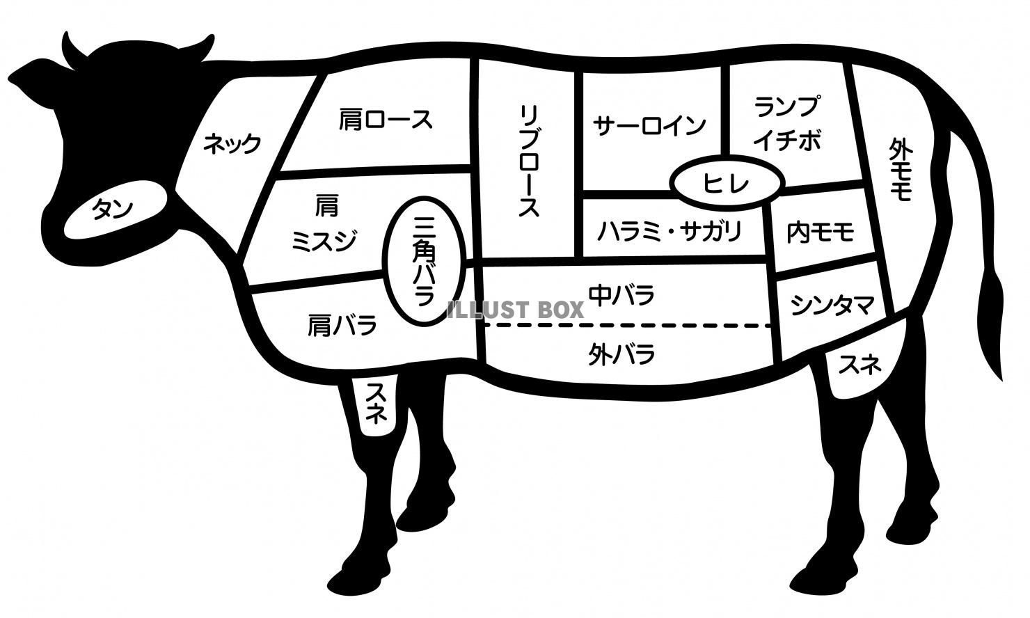 牛肉の部位