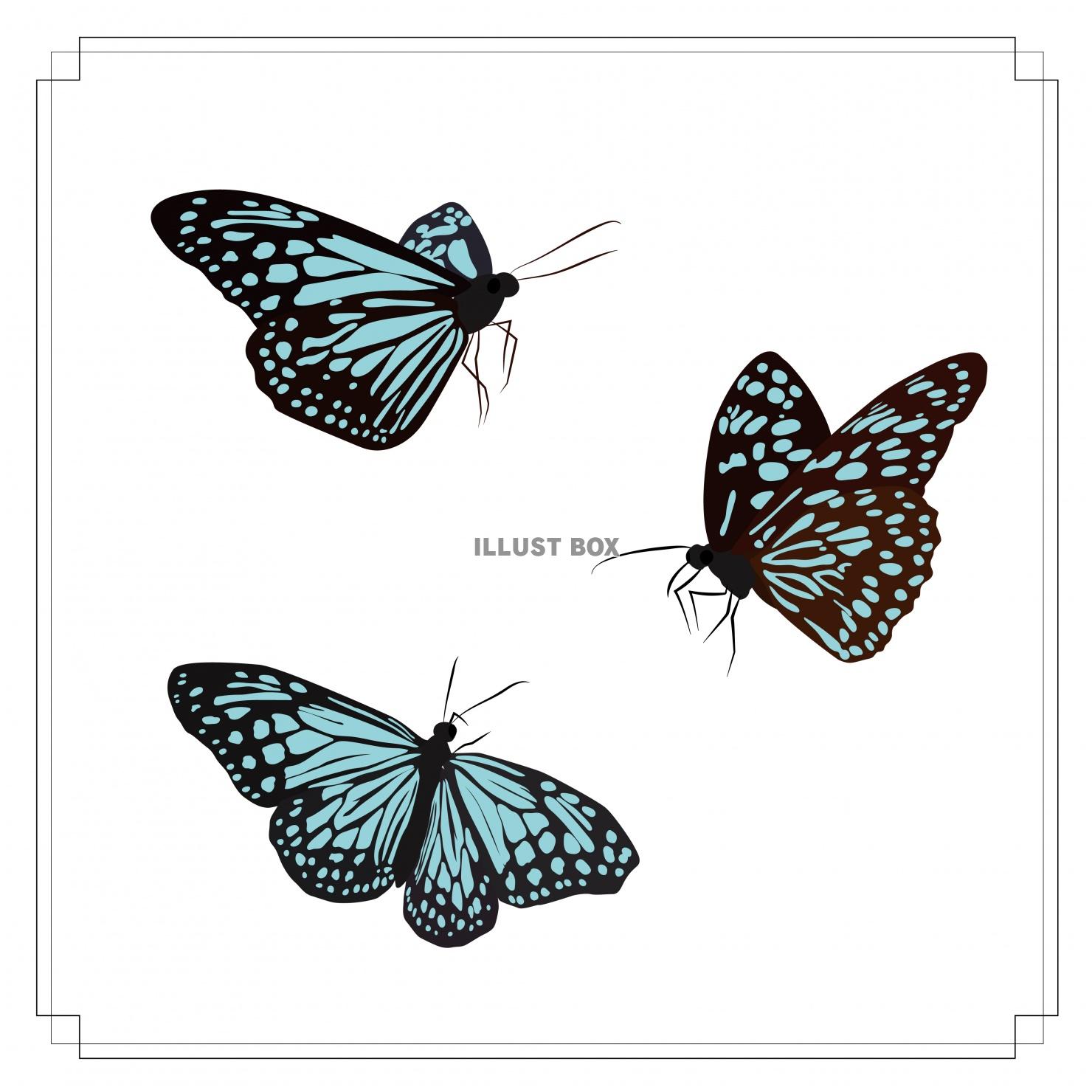 蝶　3種類のスタイル　イラスト素材