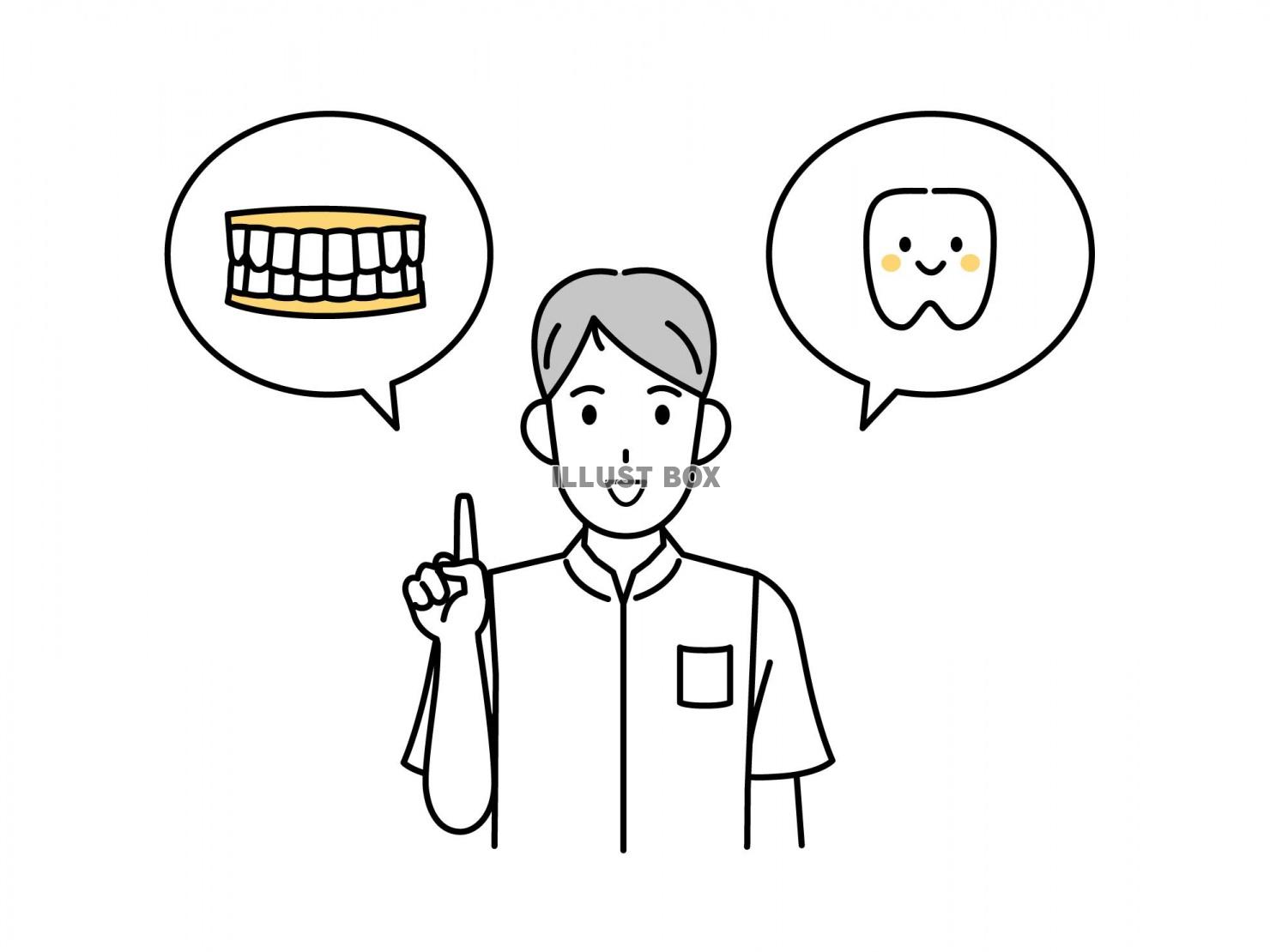 歯について説明する歯医者のイラスト