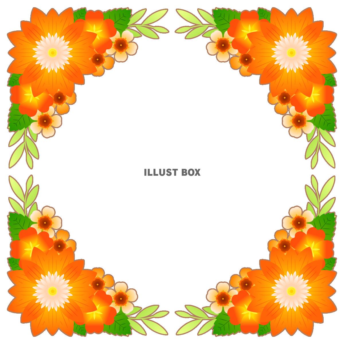 秋の花の正方形フレーム