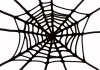 ハロウィン　蜘蛛の巣