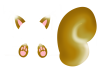 写真合成用　リス　つけ耳セット