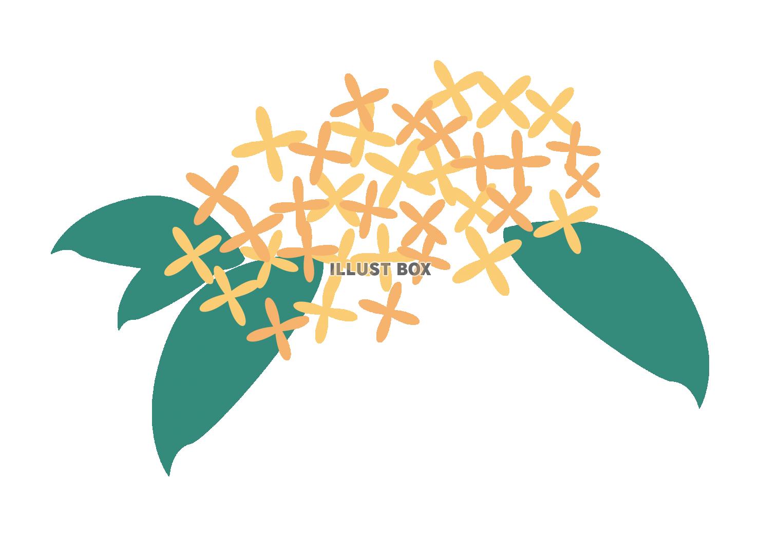 キンモビと避妊