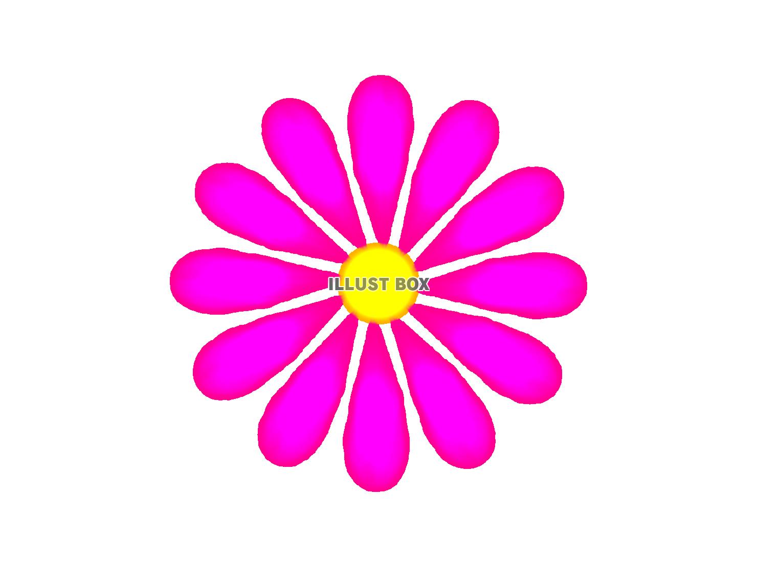 花　ピンク