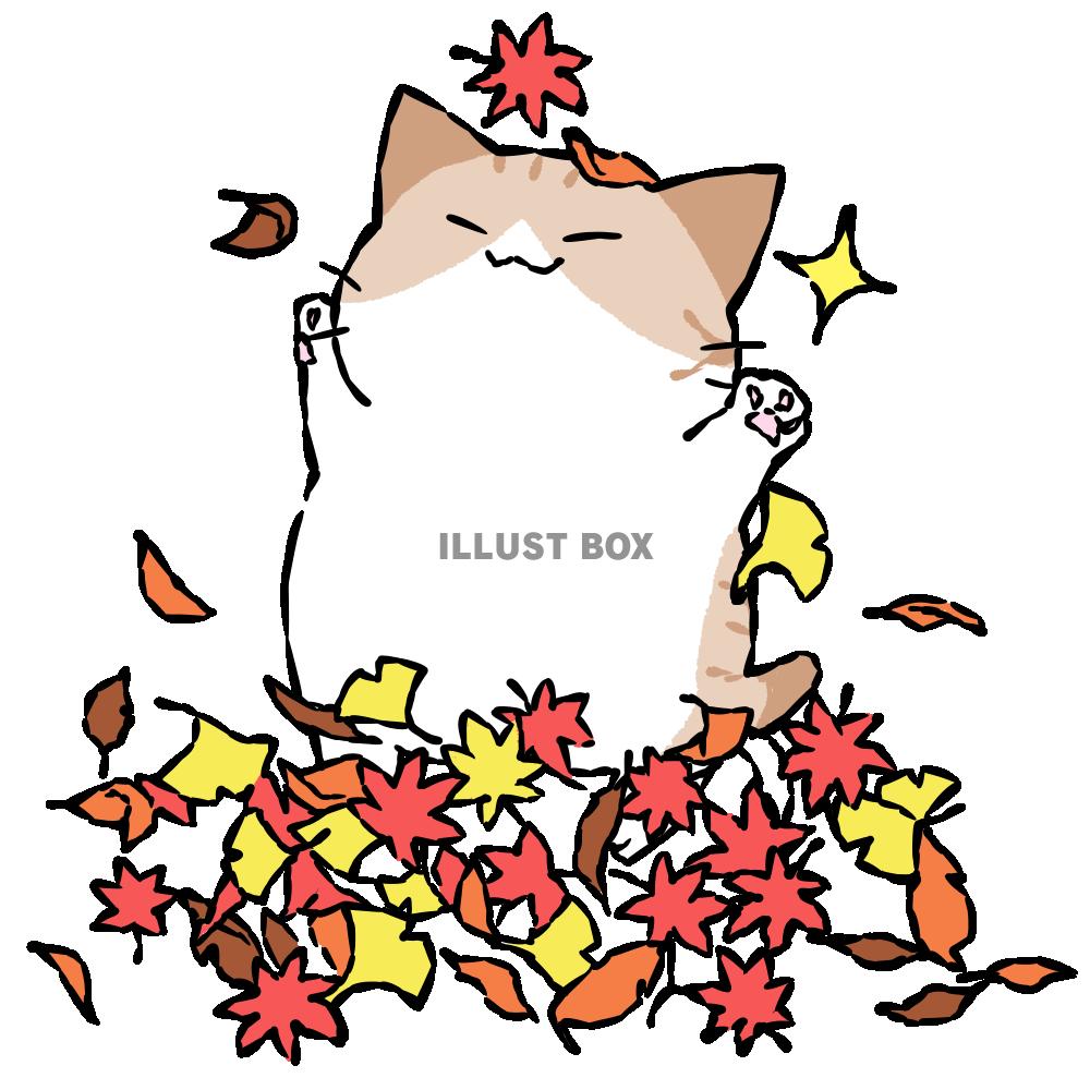 落ち葉に戯れる猫