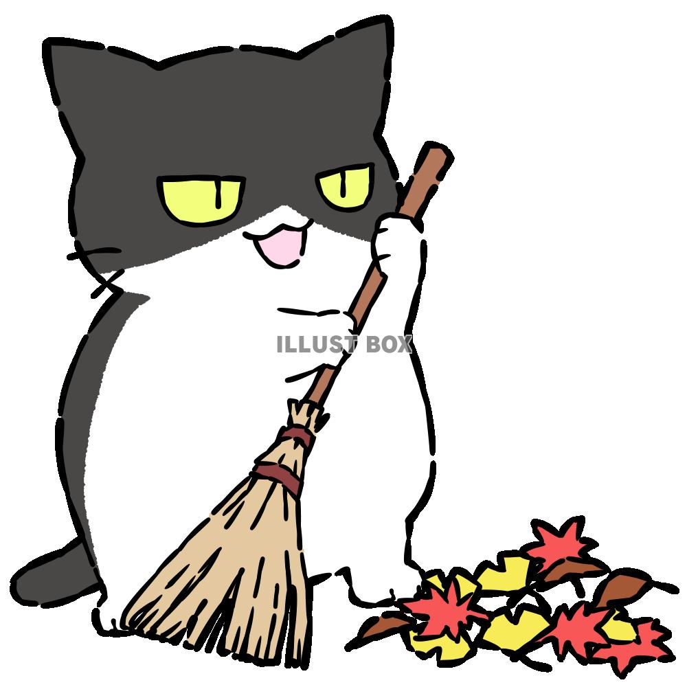 箒で掃除する猫