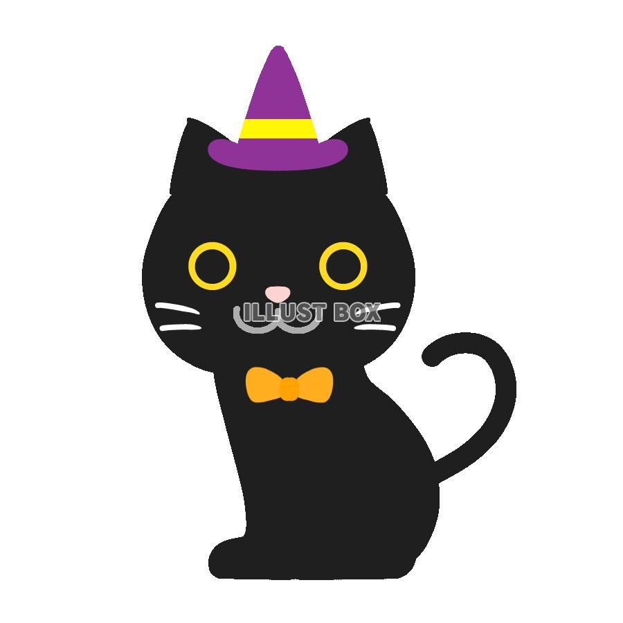 ハロウィン黒猫　透過png