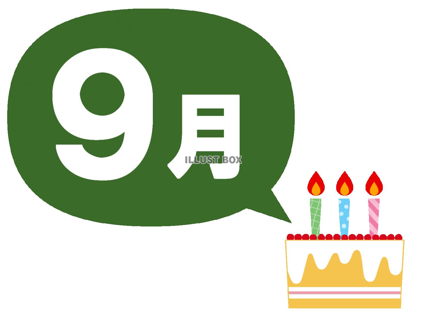 9月生まれ　お祝い　ケーキ