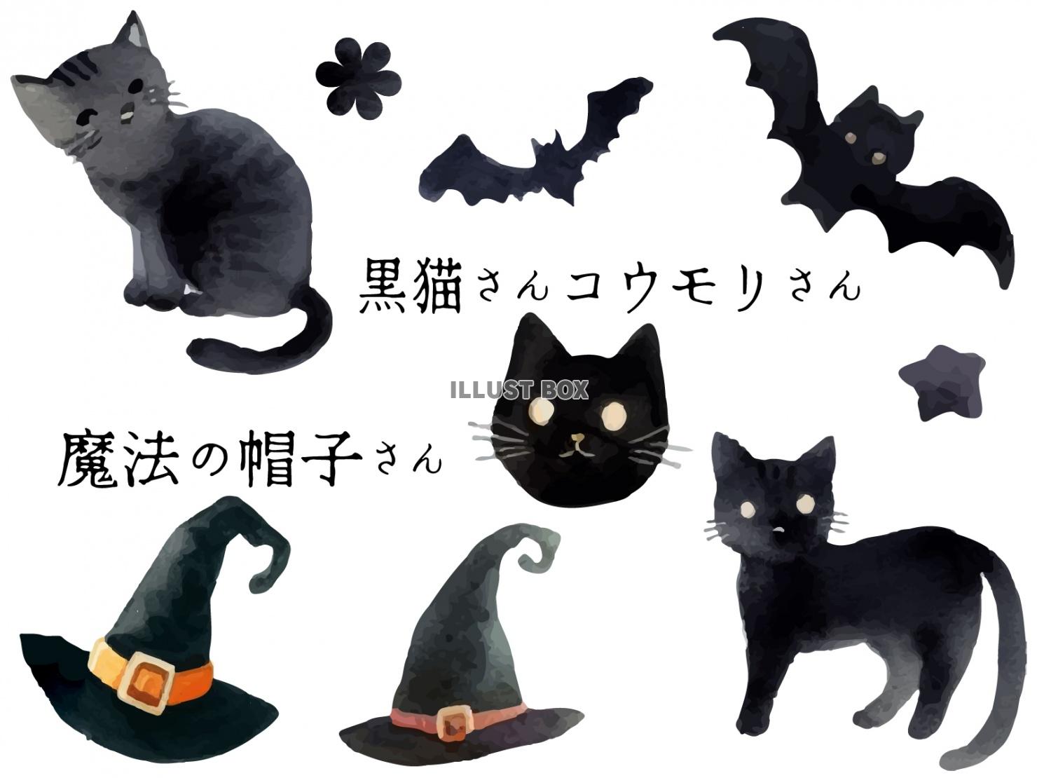 ハロウィンモチーフのセット、黒猫