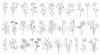 花のベクター線画イラストセット