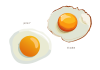 生卵と目玉焼きのイラスト素材セット