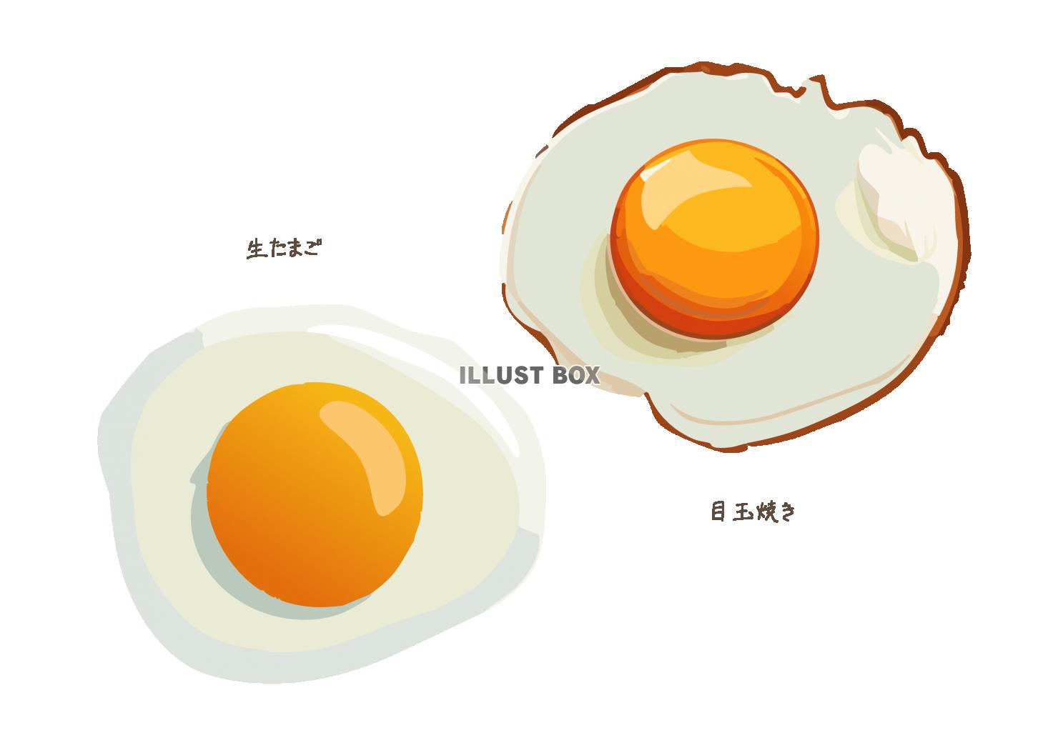 生卵と目玉焼きのイラスト素材セット