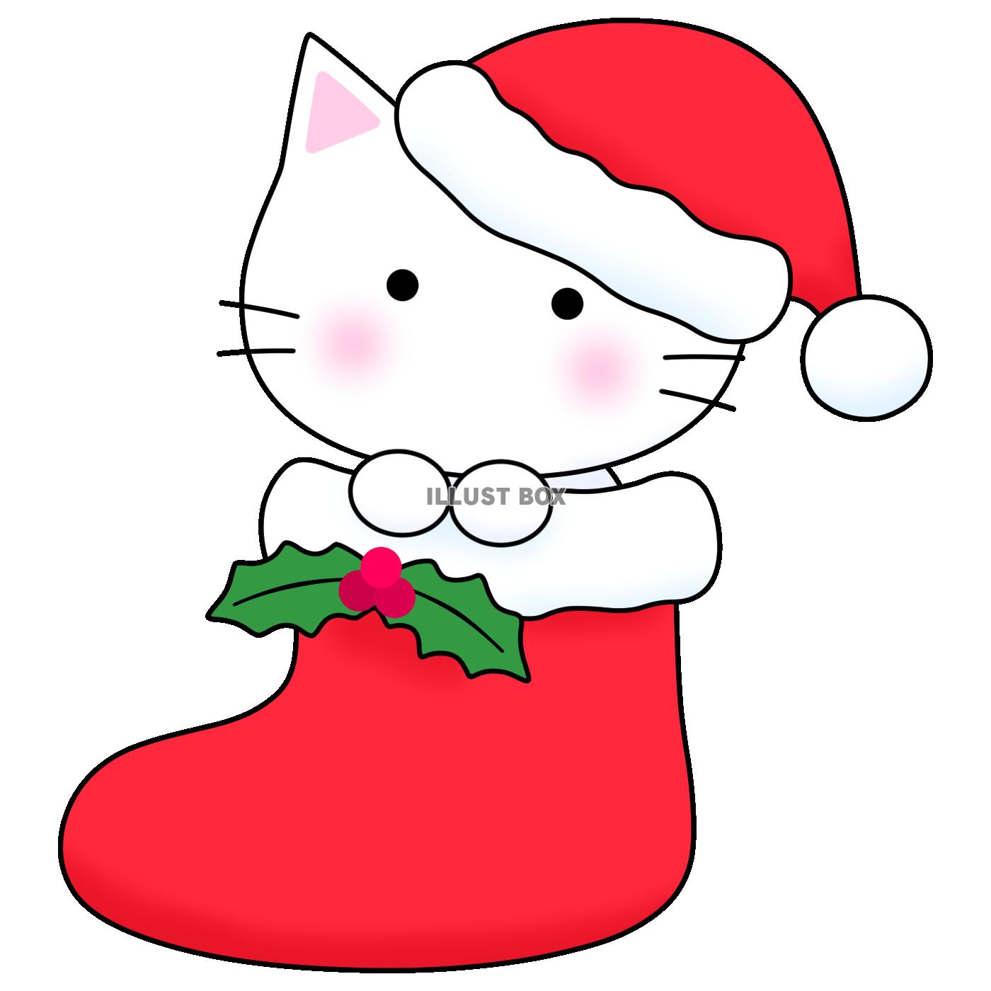 クリスマスブーツの白猫