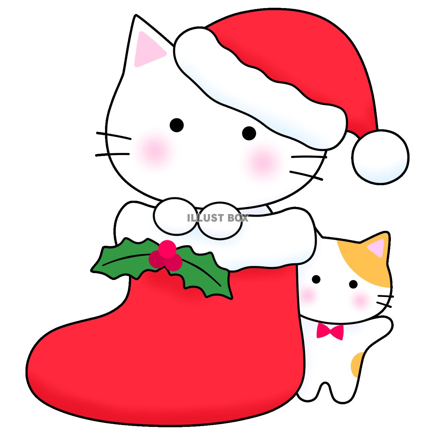 クリスマスブーツの白猫と子猫