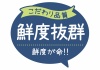 お店で使える♪ 店頭POP★こだわり品質　鮮度抜群　