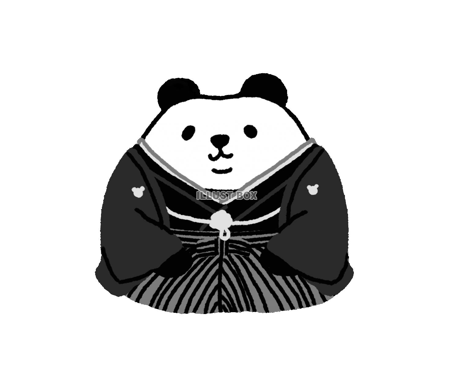パンダシリーズ　羽織袴でご挨拶1